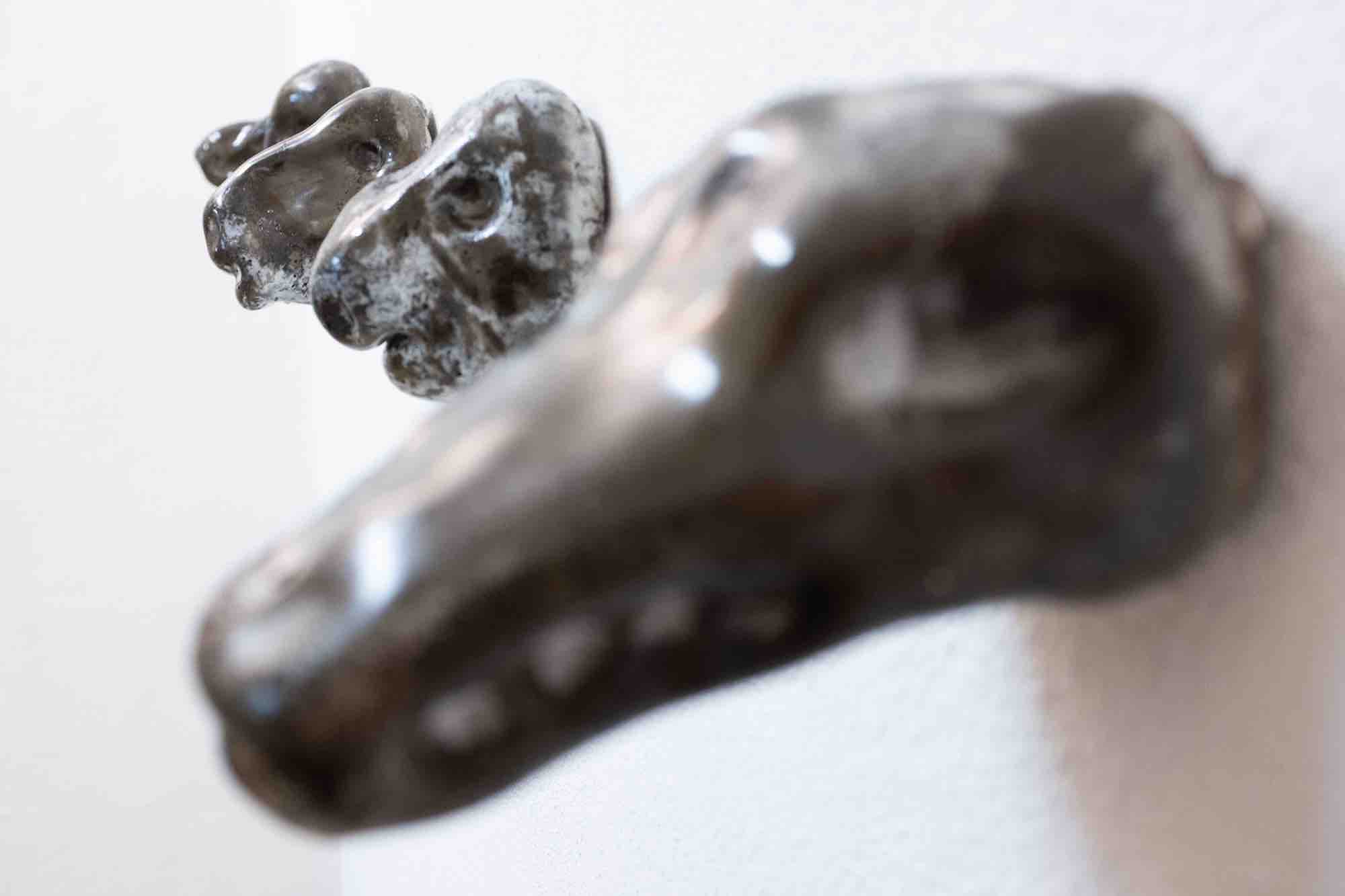 Animaux de la caverne