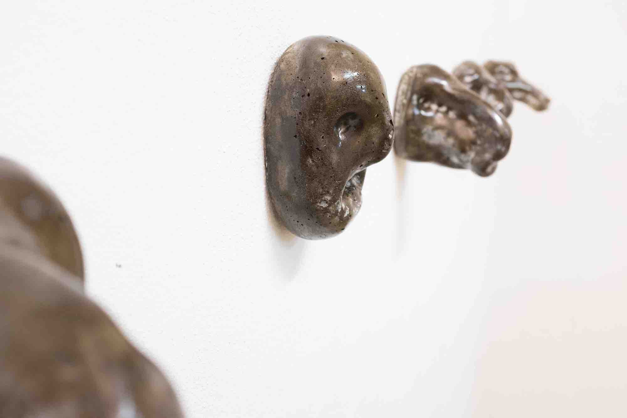 Animaux de la caverne