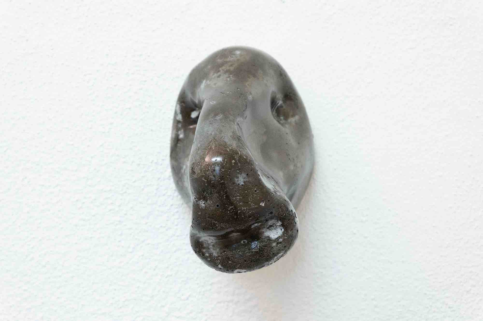 Animaux de la caverne