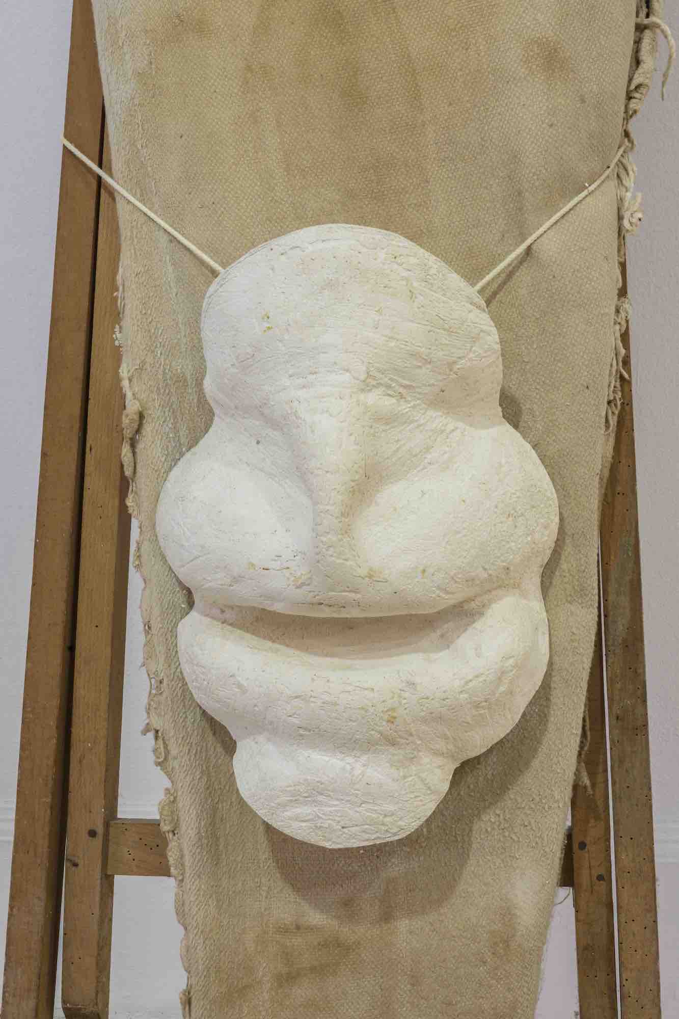 Pli